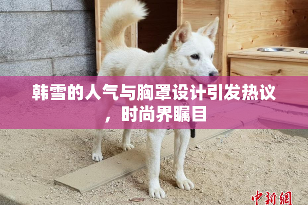 韩雪的人气与胸罩设计引发热议，时尚界瞩目