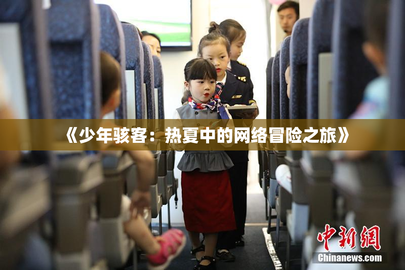 《少年骇客：热夏中的网络冒险之旅》
