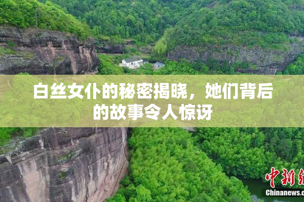 白丝女仆的秘密揭晓，她们背后的故事令人惊讶