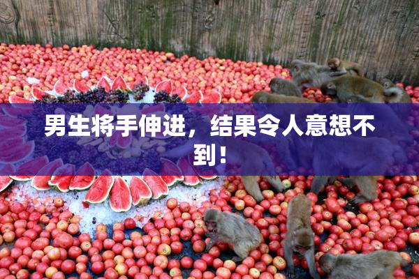 男生将手伸进，结果令人意想不到！