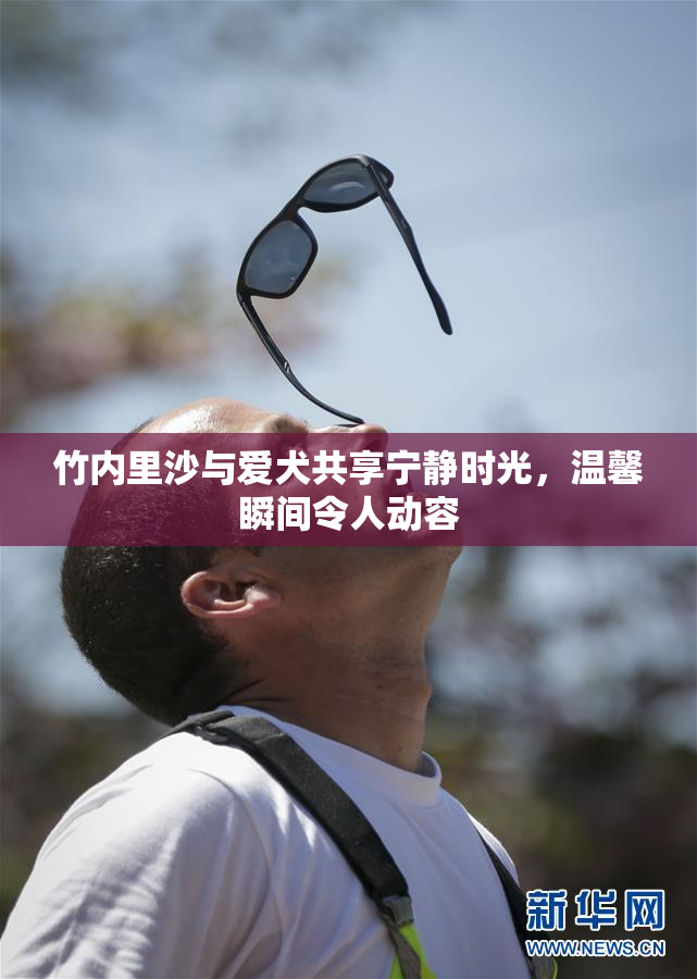 竹内里沙与爱犬共享宁静时光，温馨瞬间令人动容