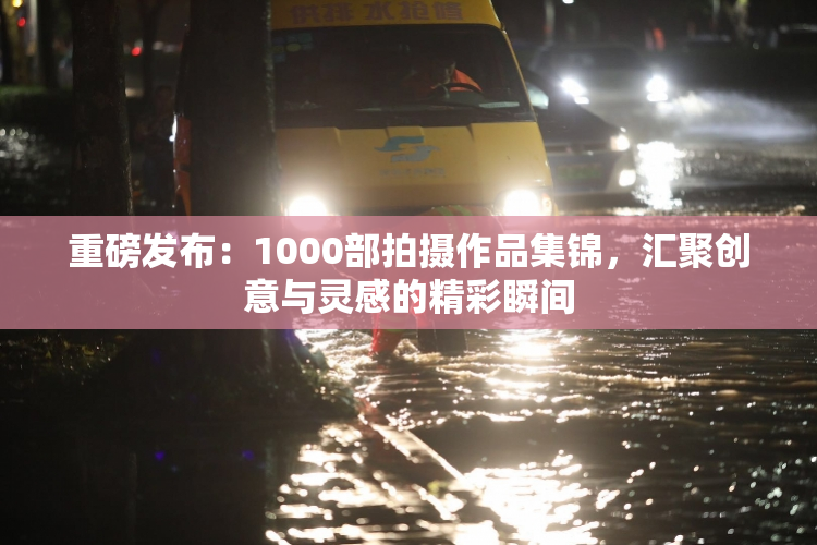 重磅发布：1000部拍摄作品集锦，汇聚创意与灵感的精彩瞬间