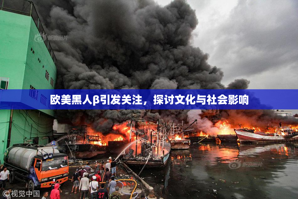 欧美黑人β引发关注，探讨文化与社会影响