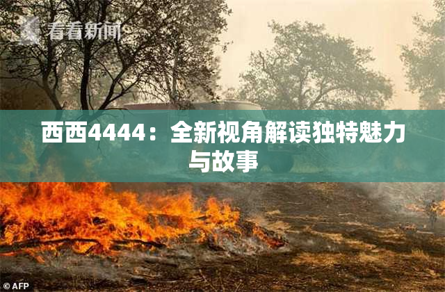西西4444：全新视角解读独特魅力与故事