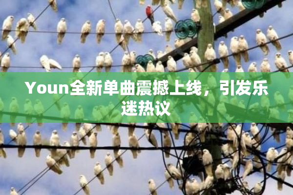 Youn全新单曲震撼上线，引发乐迷热议