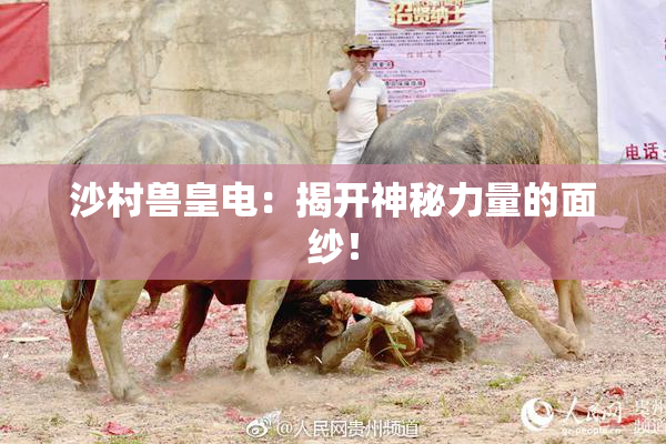 沙村兽皇电：揭开神秘力量的面纱！