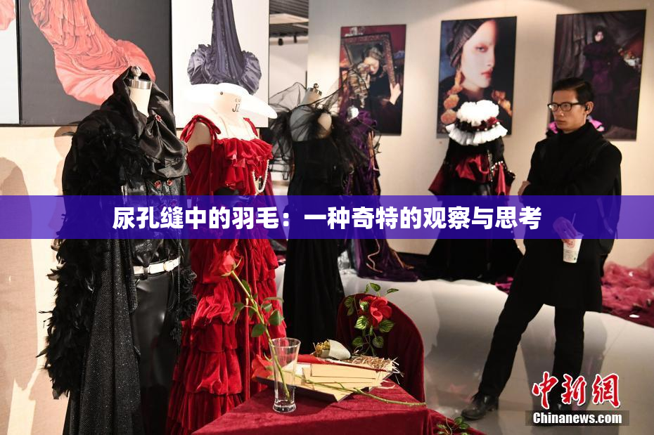 尿孔缝中的羽毛：一种奇特的观察与思考