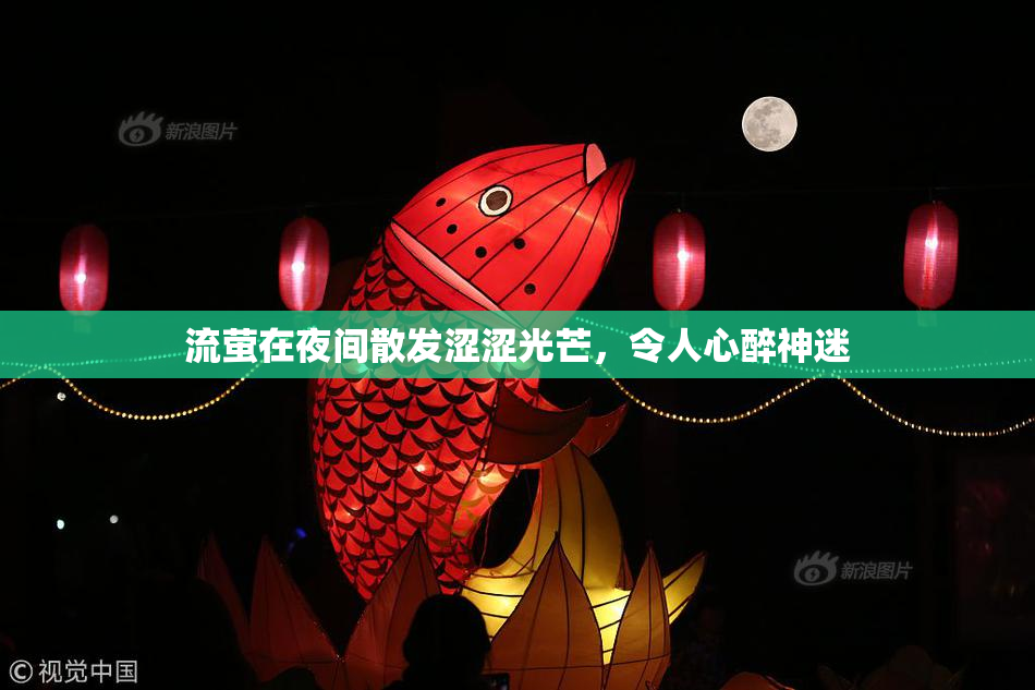 流萤在夜间散发涩涩光芒，令人心醉神迷