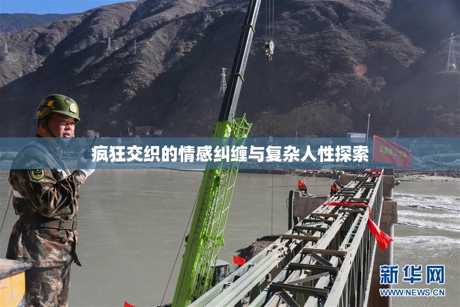 疯狂交织的情感纠缠与复杂人性探索