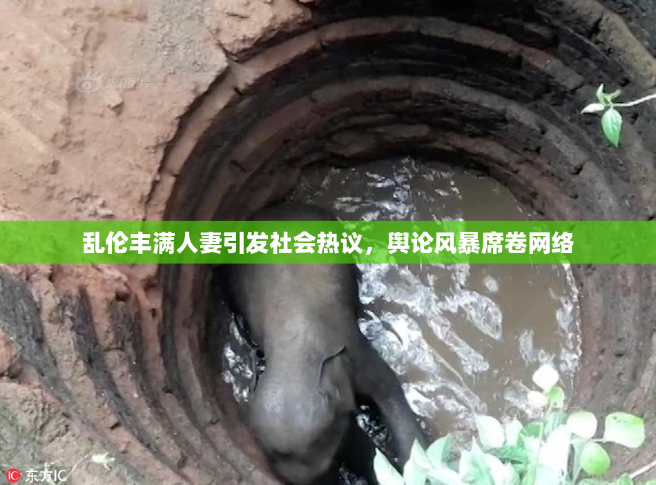 乱伦丰满人妻引发社会热议，舆论风暴席卷网络