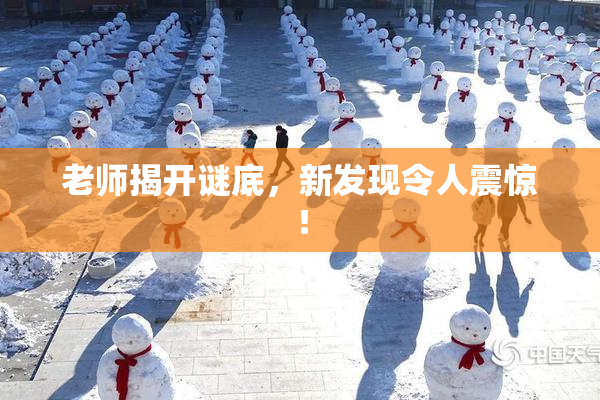 老师揭开谜底，新发现令人震惊！