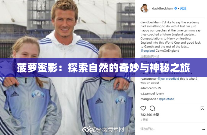 菠萝蜜影：探索自然的奇妙与神秘之旅