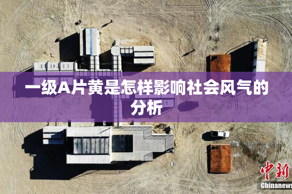 一级A片黄是怎样影响社会风气的分析