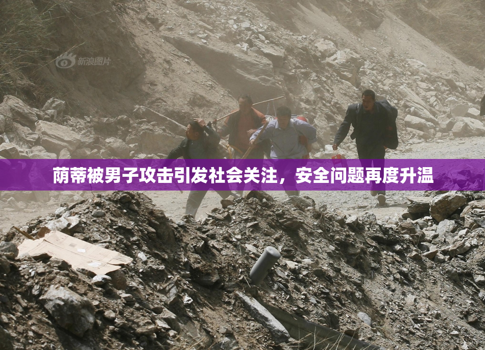 荫蒂被男子攻击引发社会关注，安全问题再度升温