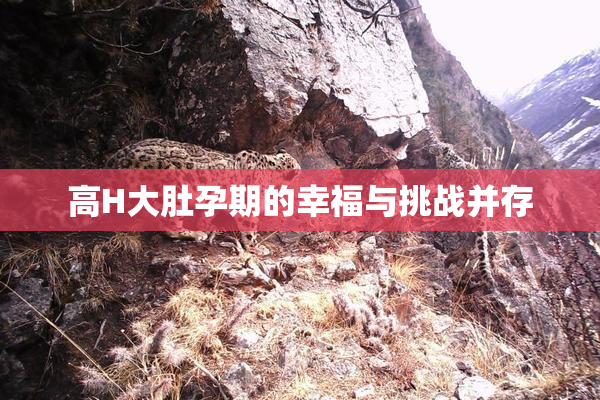 高H大肚孕期的幸福与挑战并存