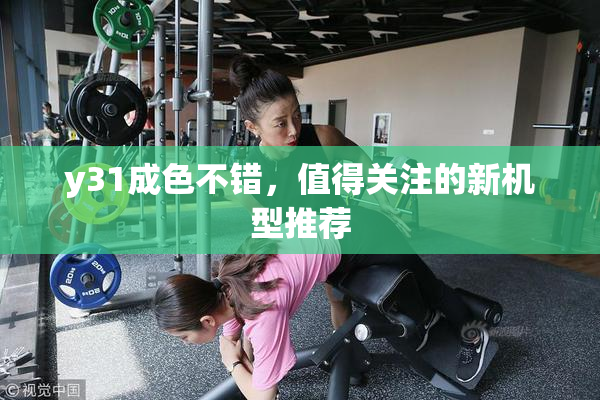 y31成色不错，值得关注的新机型推荐
