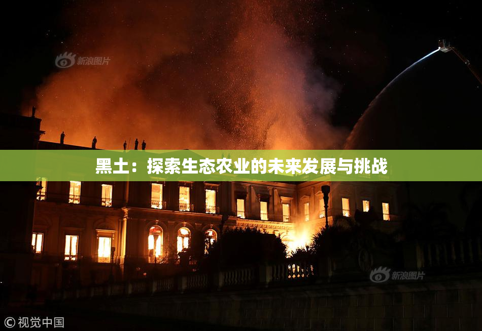 黑土：探索生态农业的未来发展与挑战