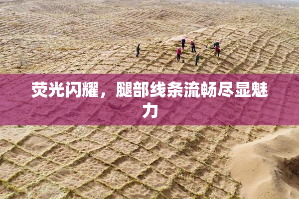 荧光闪耀，腿部线条流畅尽显魅力