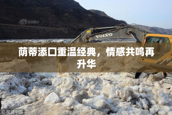 荫蒂添囗重温经典，情感共鸣再升华