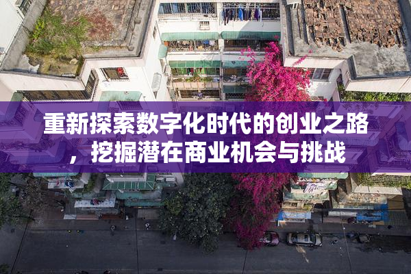 重新探索数字化时代的创业之路，挖掘潜在商业机会与挑战