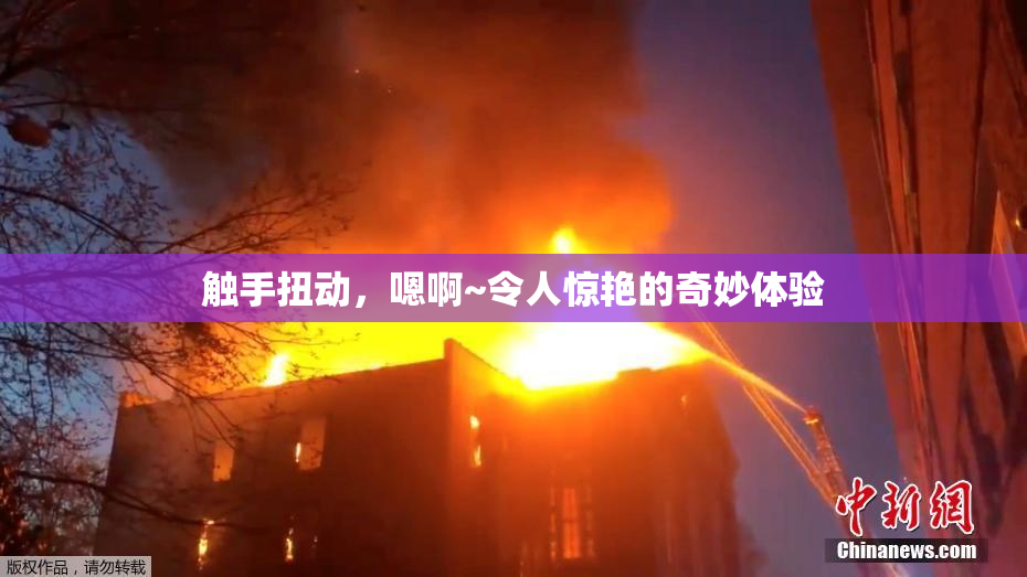 触手扭动，嗯啊~令人惊艳的奇妙体验