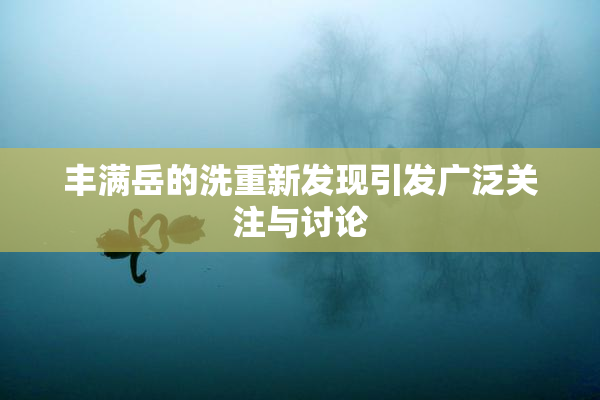 丰满岳的洗重新发现引发广泛关注与讨论