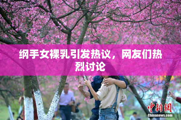 纲手女裸乳引发热议，网友们热烈讨论