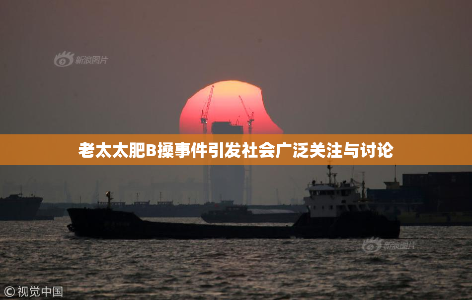 老太太肥B搡事件引发社会广泛关注与讨论