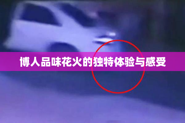 博人品味花火的独特体验与感受