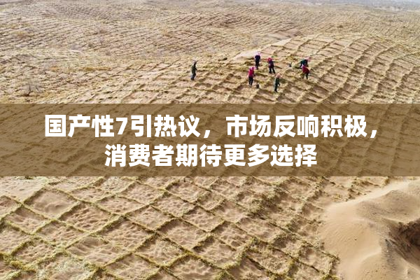 国产性7引热议，市场反响积极，消费者期待更多选择