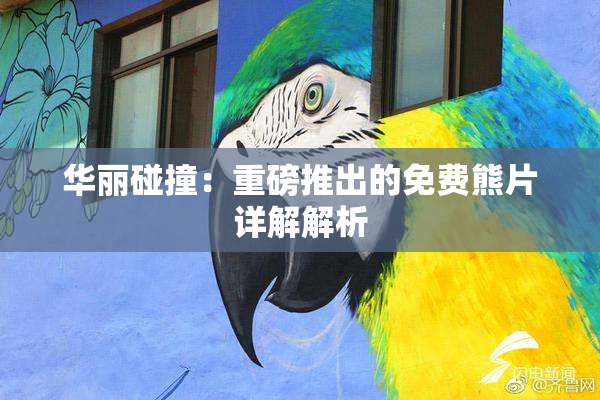 华丽碰撞：重磅推出的免费熊片详解解析