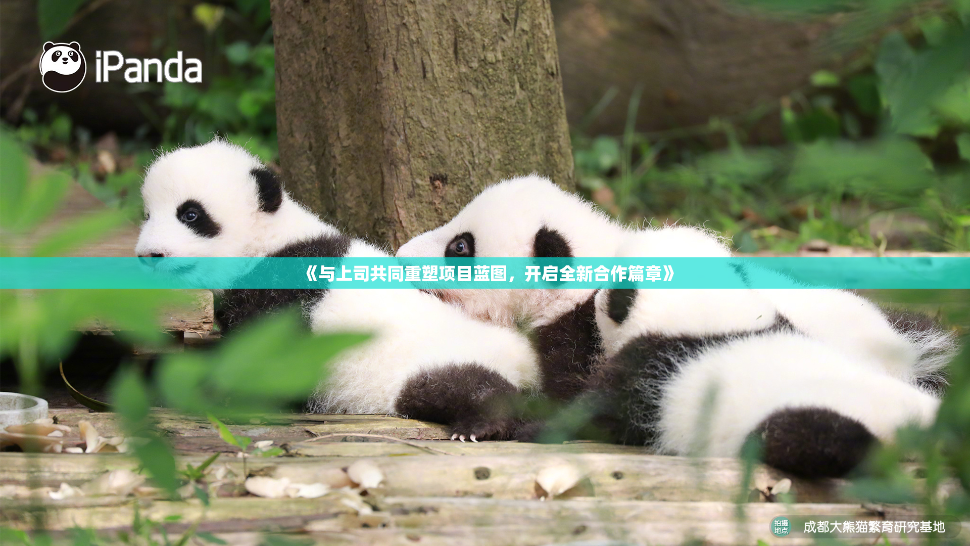《与上司共同重塑项目蓝图，开启全新合作篇章》