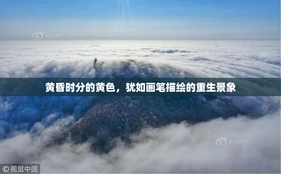 黄昏时分的黄色，犹如画笔描绘的重生景象