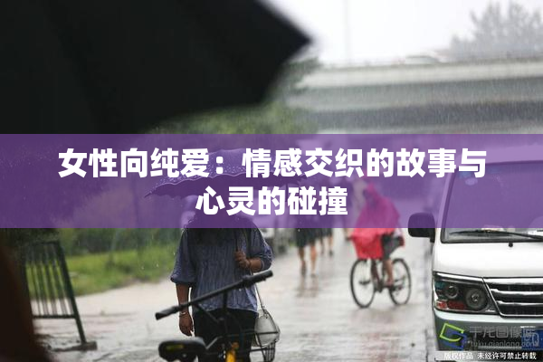 女性向纯爱：情感交织的故事与心灵的碰撞