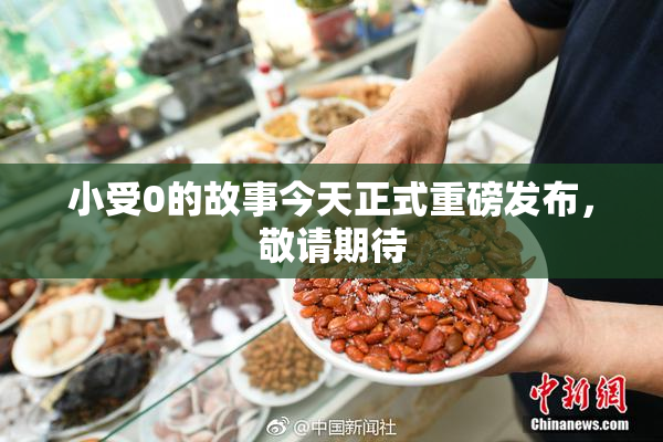 小受0的故事今天正式重磅发布，敬请期待