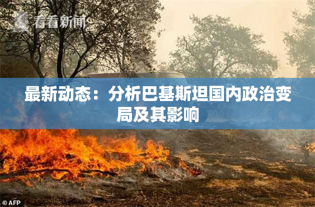 最新动态：分析巴基斯坦国内政治变局及其影响