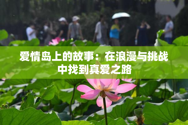 爱情岛上的故事：在浪漫与挑战中找到真爱之路