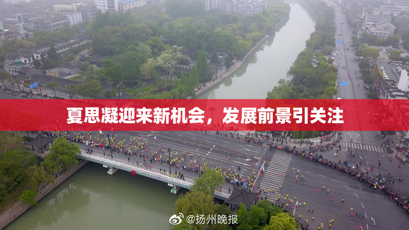 夏思凝迎来新机会，发展前景引关注