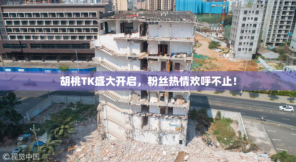 胡桃TK盛大开启，粉丝热情欢呼不止！