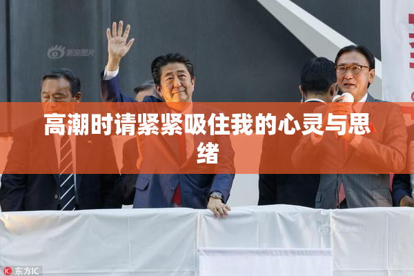 高潮时请紧紧吸住我的心灵与思绪