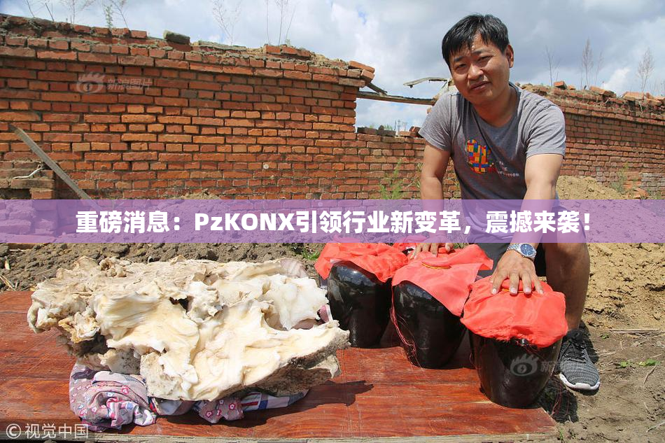重磅消息：PzKONX引领行业新变革，震撼来袭！