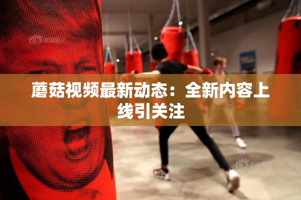 蘑菇视频最新动态：全新内容上线引关注