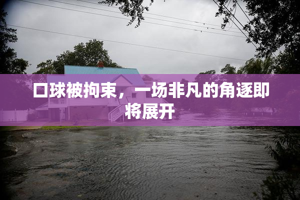 口球被拘束，一场非凡的角逐即将展开