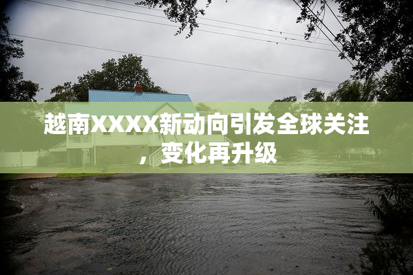 越南XXXX新动向引发全球关注，变化再升级