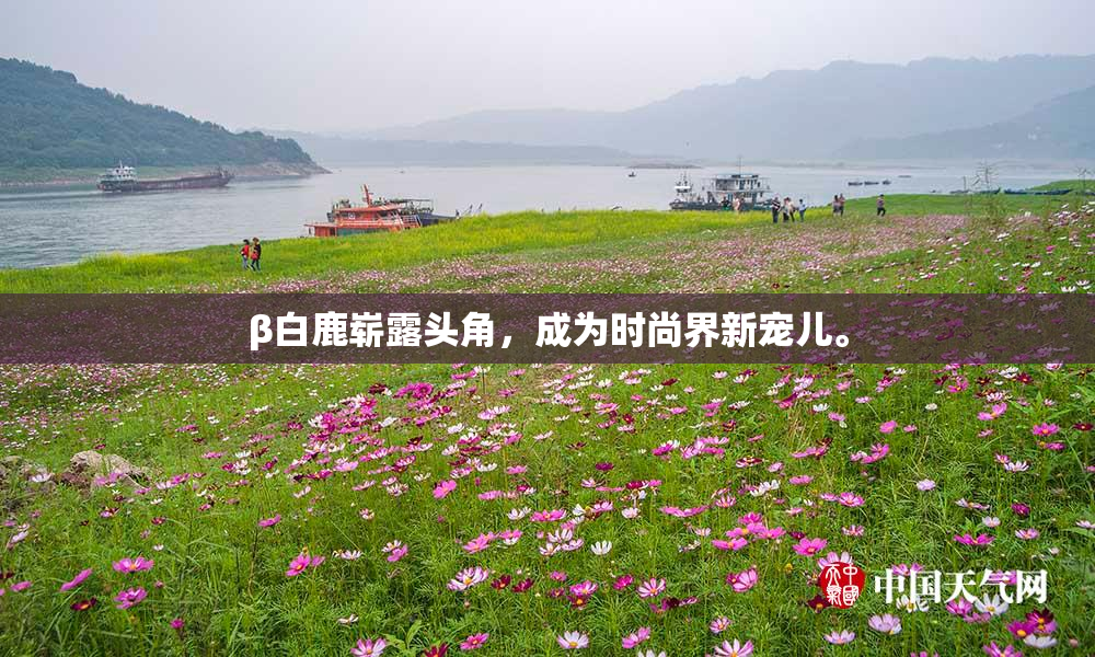 β白鹿崭露头角，成为时尚界新宠儿。