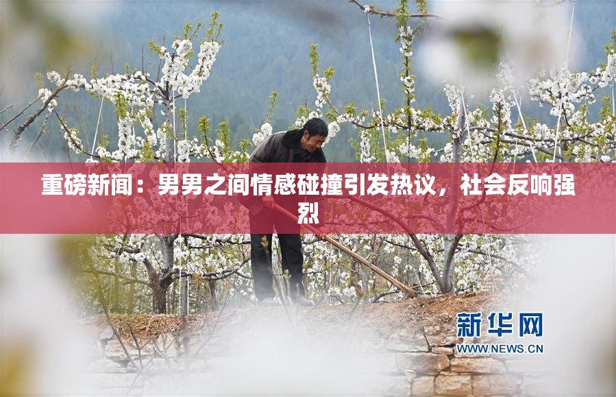 重磅新闻：男男之间情感碰撞引发热议，社会反响强烈