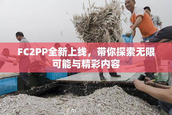 FC2PP全新上线，带你探索无限可能与精彩内容