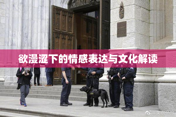 欲漫涩下的情感表达与文化解读