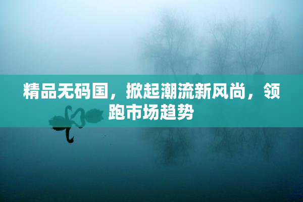 精品无码国，掀起潮流新风尚，领跑市场趋势