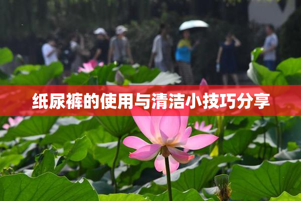 纸尿裤的使用与清洁小技巧分享